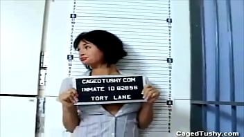 play Caged tushy：空腔搜索 |保守党巷